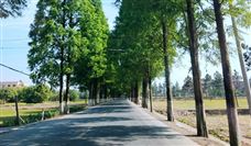 再度发力！山推3D摊铺助力河北省道高速改建！ - 恒通能机械资讯