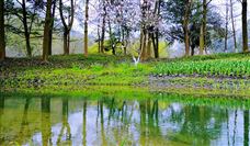 推动新阶段水利高质量发展 水利部印发《通知》 - 恒通能机械资讯