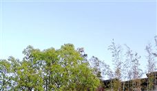 徐矿集团三大平台建设迈入信息化赋能崭新阶段 - 恒通能机械资讯