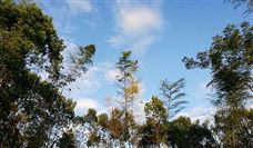 上千处智能化采掘工作面 煤矿智能化建设全面提速 - 恒通能机械资讯