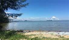 早报|ChatGPT首次设计出类脑AI芯片并已开始制造 - 恒通能机械资讯