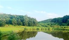 最新消息！白鹤滩水电站全面进入运行期 - 恒通能机械资讯