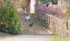 2024年1月25日，中国技术市场协会六