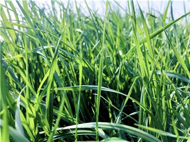 9月份AMI指数为48.2%，“金九”成色不足 - 恒通能机械资讯