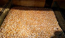 常柴：一季度净利润超3238万元，将拓展