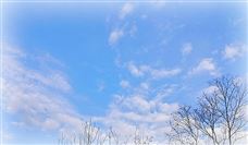 时速350公里！成渝中线高铁取得重要进展