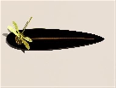 测量时，选择滤波器设置的技巧