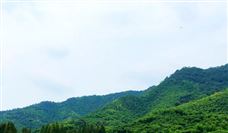 《全断面隧道掘进机主轴承试验规范》 团标立项获批 - 恒通能机械资讯