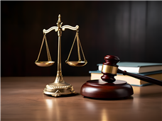 工业重点行业全面启动设备更新与技术改造，