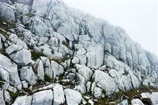 解读→新疆维吾尔自治区绿色矿山建设管理办