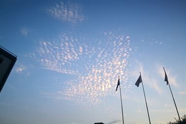 人工智能“四川方案”出炉 26条重点举措