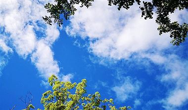 阿里云抢抓全球AI浪潮发展机遇，加速全球