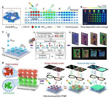 理化所在蓝相液晶3D双手性图案的时空可编