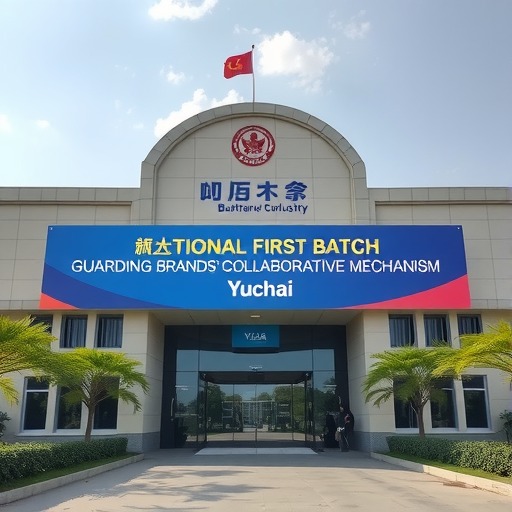 广西唯一！玉柴入选国家首批“守护品牌”政企协作机制名单(图3)