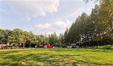 杭叉集团半年报：业绩稳步增长，智能工厂助