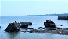 《长江港口干散货码头粉尘污染控制要求》等2项标准立项 - 恒通能机械资讯