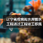 辽宁省观音阁水库输水工程通过工程竣工移民安置终验 辽宁省观音阁水库输水工程通过工程竣工移民安置终验(图3)