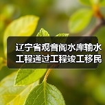 辽宁省观音阁水库输水工程通过工程竣工移民安置终验 辽宁省观音阁水库输水工程通过工程竣工移民安置终验(图2)