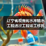 辽宁省观音阁水库输水工程通过工程竣工移民安置终验 辽宁省观音阁水库输水工程通过工程竣工移民安置终验(图1)