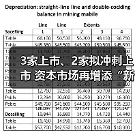 3家上市、2家拟冲刺上市 资本市场再增添“新军”(图4)