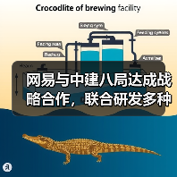 网易与中建八局达成战略合作，联合研发多种工程机械机器人(图1)