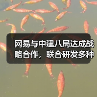 网易与中建八局达成战略合作，联合研发多种工程机械机器人(图4)