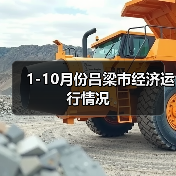 1-10月份吕梁市经济运行情况(图4)