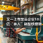 又一上市龙头企业187亿“杀入”磷酸铁锂领域(图2)