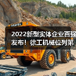 2022新型实体企业百强发布！徐工机械位列第46名(图2)