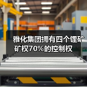 雅化集团拥有四个锂矿矿权70%的控制权(图3)