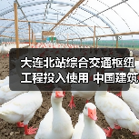 大连北站综合交通枢纽工程投入使用 中国建筑承建(图3) 大连北站综合交通枢纽工程投入使用 中国建筑承建(图3)