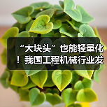 “大块头”也能轻量化!我国工程机械行业发展全面提速(图2) “大块头”也能轻量化!我国工程机械行业发展全面提速(图2)