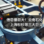 信息量巨大！云南石化、上海杉杉等三大巨头签约合作！(图3)