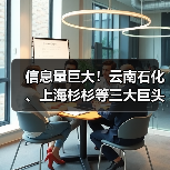信息量巨大！云南石化、上海杉杉等三大巨头签约合作！(图2)