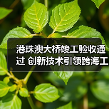 港珠澳大桥竣工验收通过 创新技术引领跨海工程(图4)