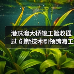 港珠澳大桥竣工验收通过 创新技术引领跨海工程(图3)