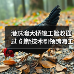 港珠澳大桥竣工验收通过 创新技术引领跨海工程(图2)