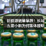 新能源销量暴跌!长城五菱小鹏为何集体腰斩?(图4) 新能源销量暴跌!长城五菱小鹏为何集体腰斩?(图4)