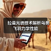 拉曼光谱技术解析鸟类飞羽力学性能(图2) 拉曼光谱技术解析鸟类飞羽力学性能(图2)
