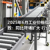 2025年6月工业价格指数：同比降幅扩大