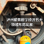 泸州聚焦数字经济五大领域布局发展(图3) 泸州聚焦数字经济五大领域布局发展(图3)