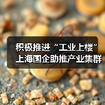 积极推进“工业上楼” 上海国企助推产业集群集聚集约发展(图4)