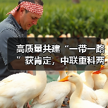 高质量共建“一带一路”获肯定,中联重科两项目入选联合国全球契约组织重要成果(图4) 高质量共建“一带一路”获肯定,中联重科两项目入选联合国全球契约组织重要成果(图4)