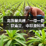 高质量共建“一带一路”获肯定,中联重科两项目入选联合国全球契约组织重要成果(图1) 高质量共建“一带一路”获肯定,中联重科两项目入选联合国全球契约组织重要成果(图1)