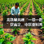 高质量共建“一带一路”获肯定,中联重科两项目入选联合国全球契约组织重要成果(图3) 高质量共建“一带一路”获肯定,中联重科两项目入选联合国全球契约组织重要成果(图3)