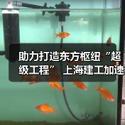 助力打造东方枢纽“超级工程” 上海建工加速推进工程建设(图3)