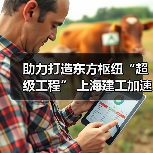 助力打造东方枢纽“超级工程” 上海建工加速推进工程建设(图4)