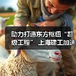 助力打造东方枢纽“超级工程” 上海建工加速推进工程建设(图2)