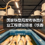 国家铁路局发布铁路行业工程建设标准《铁路工程物理勘探规范》(图2) 国家铁路局发布铁路行业工程建设标准《铁路工程物理勘探规范》(图2)