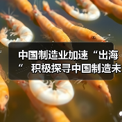 中国制造业加速“出海” 积极探寻中国制造未来之路(图3)